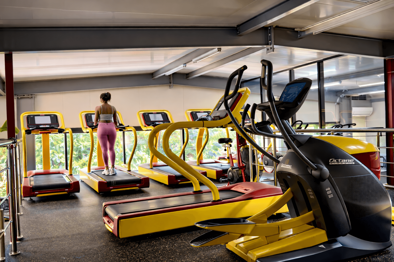 rizz suites gym 2lvl