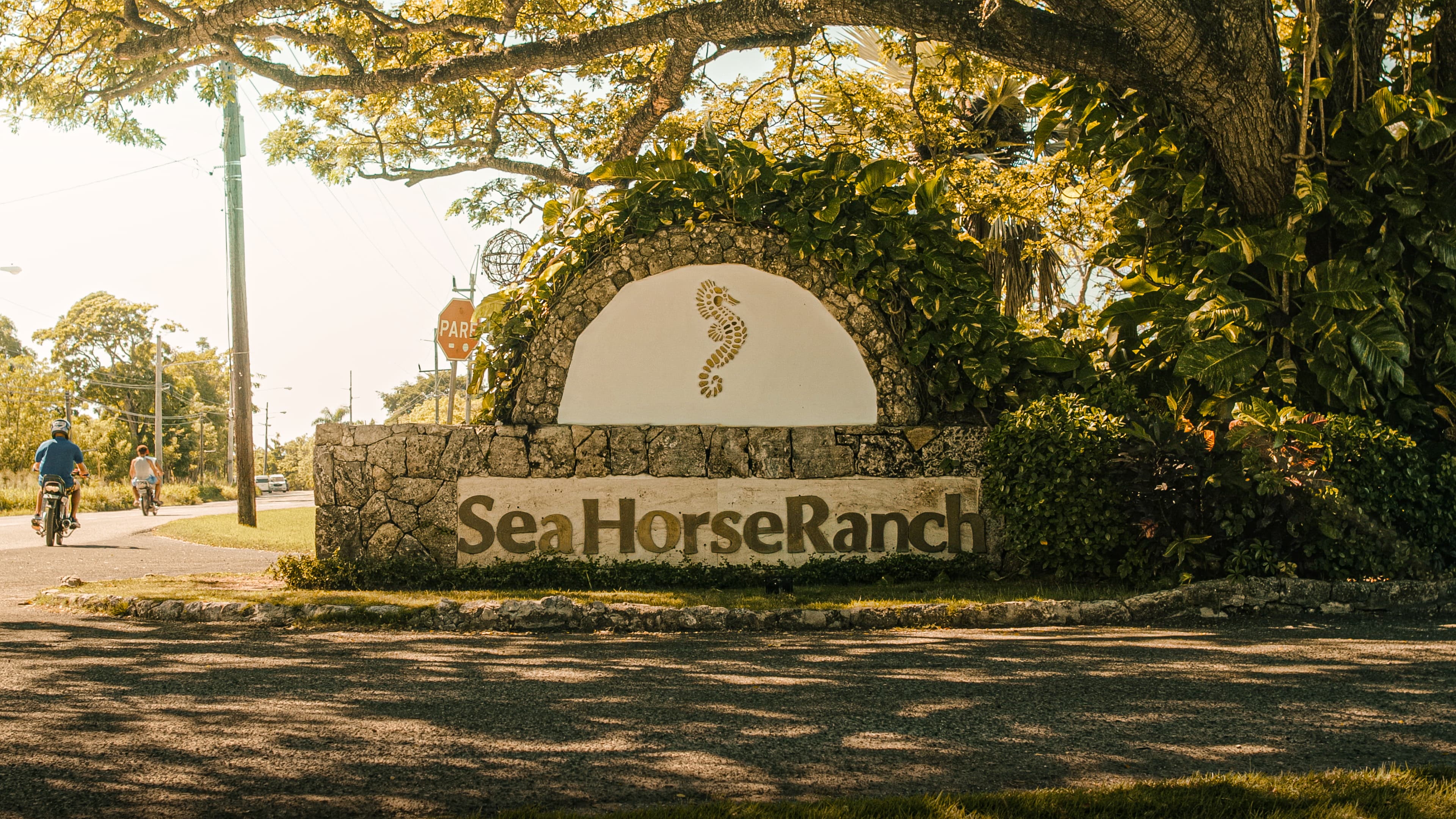Sea Horse Ranch